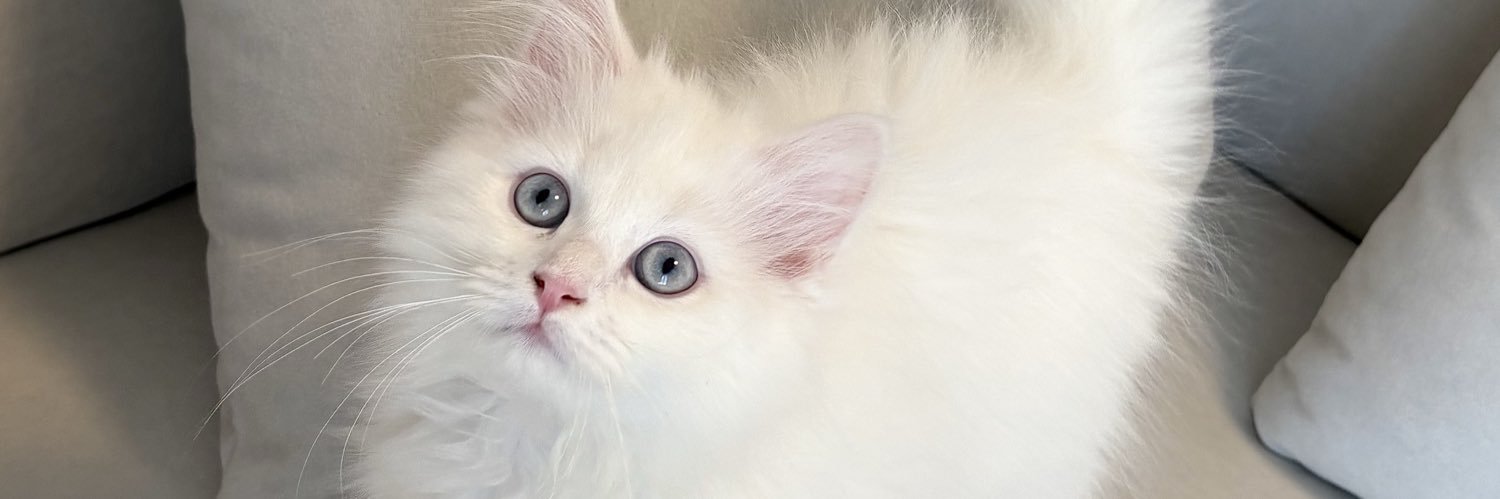 るあ(サイベリアン) banner