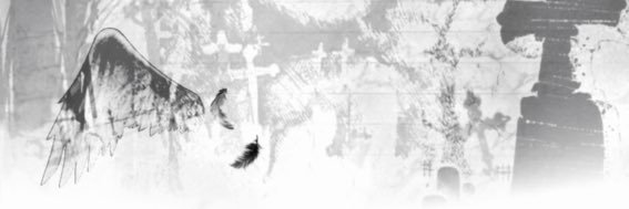 dippilxmaster's profile banner image