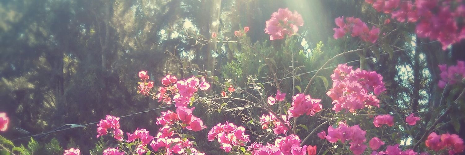 CositaVans's profile banner image