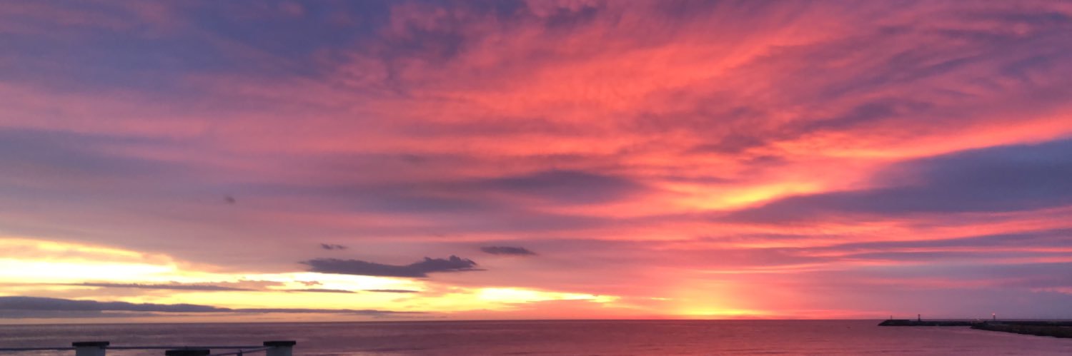 rosariodehaut's profile banner image