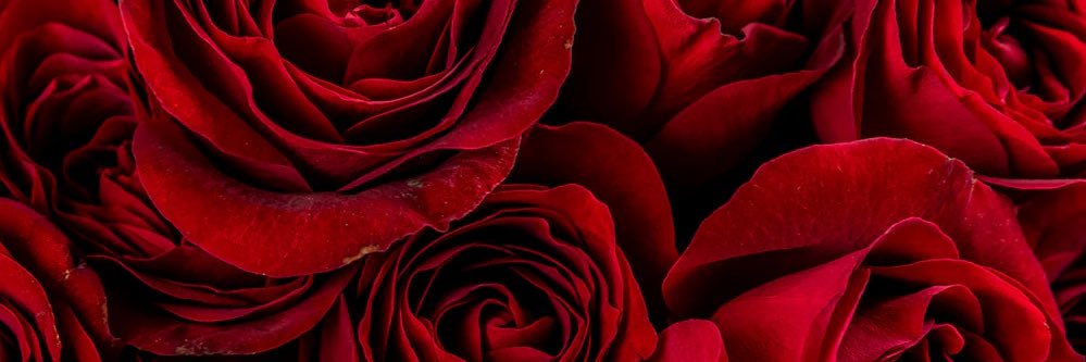 Your Favorite RedBone banner