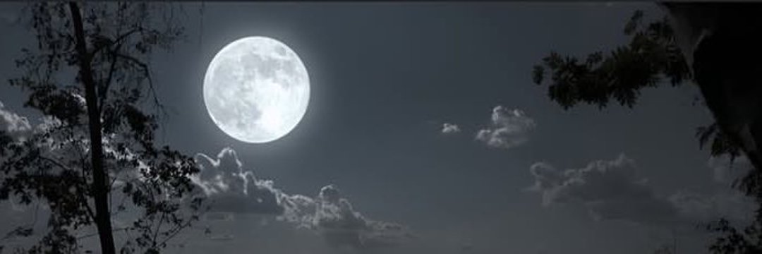 سـعـود |‏ 𝑺𝒂𝒖𝒅 banner