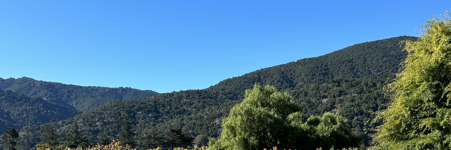 MistyMountains banner