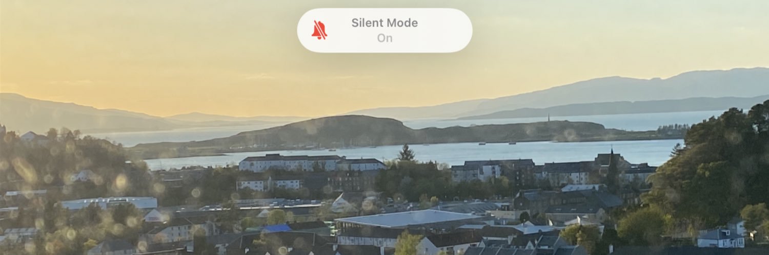 dizzybird01's profile banner image