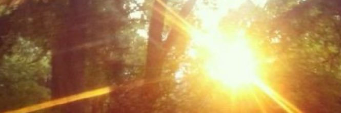 jop5jpi's profile banner image
