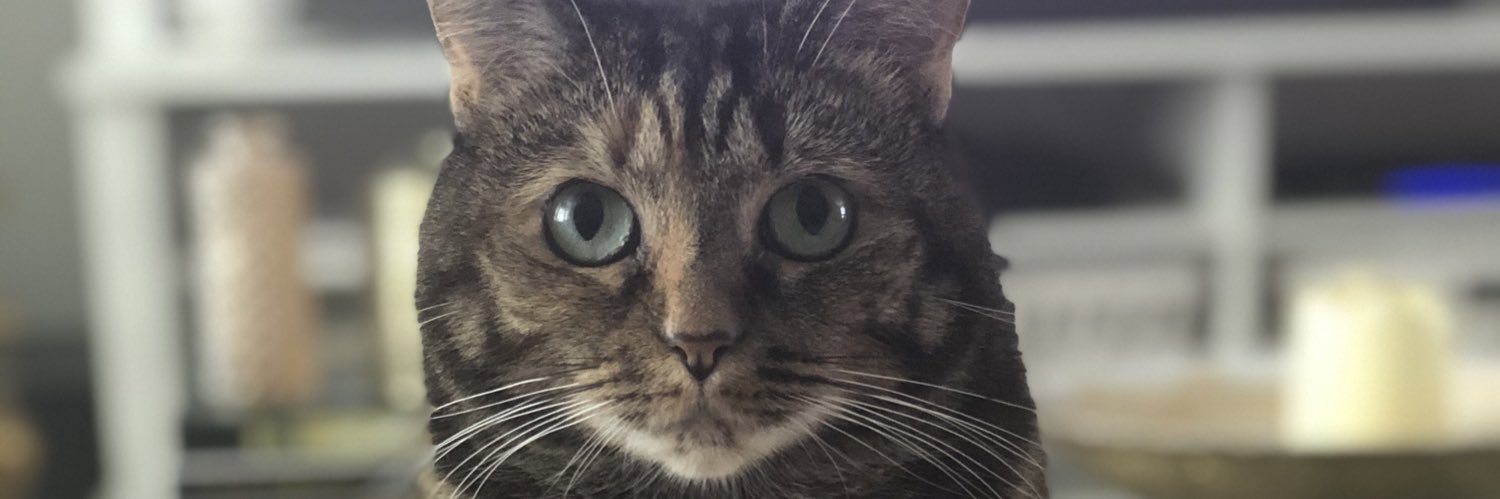 csamuel21's profile banner image