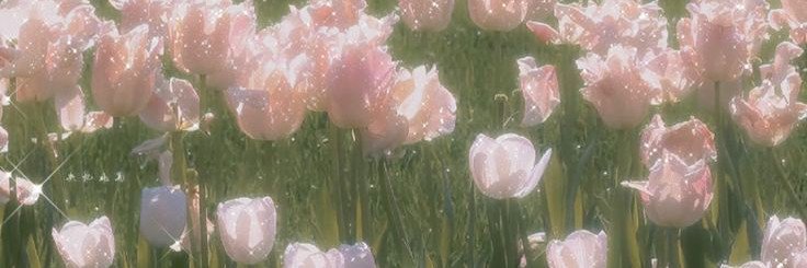 amyttars's profile banner image