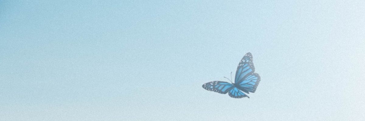 Daily Aigis ✨ banner