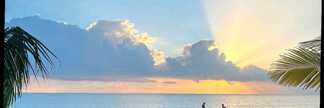 pretamell_'s profile banner image