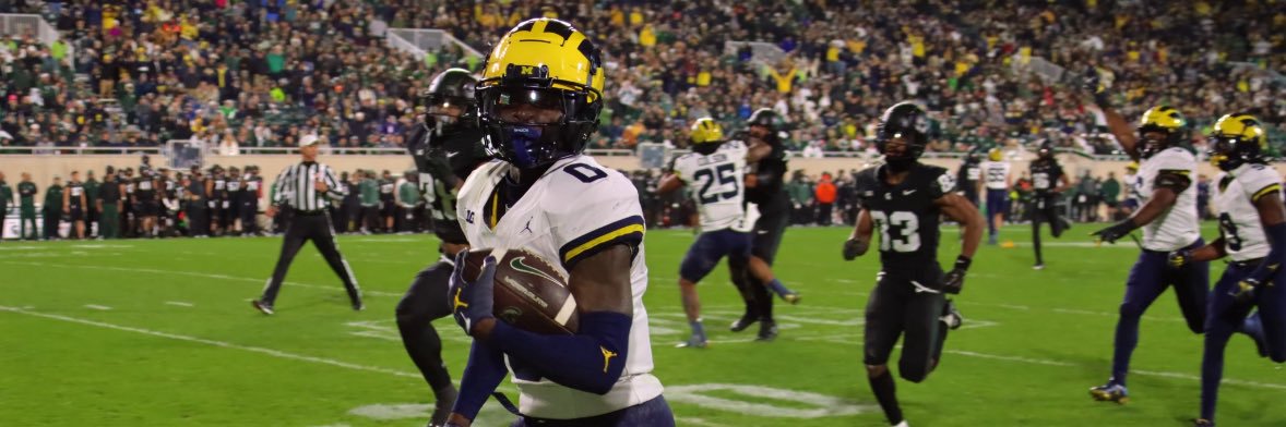 DutchWolverine banner