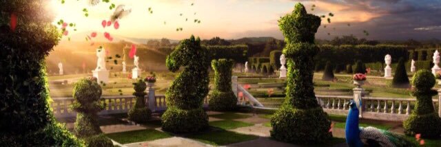 RCaroM's profile banner image