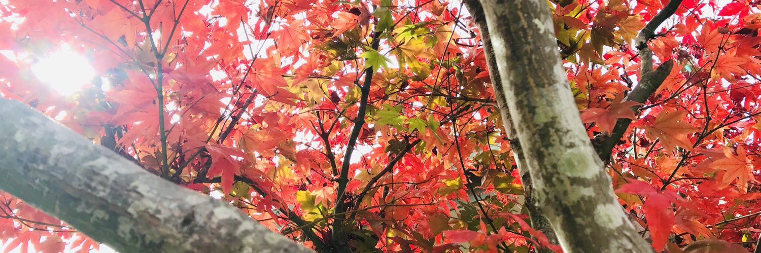 Daniel Perrott banner