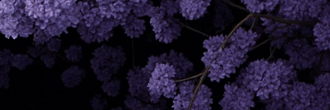 Lole1te's profile banner image