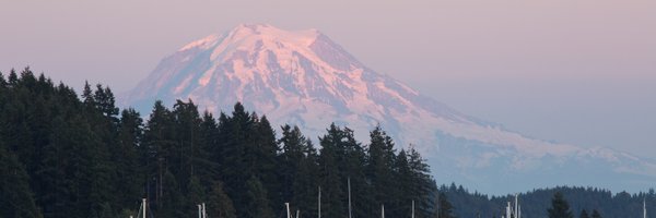 Notalwayswrite Profile Banner