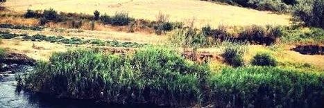 Mors Certis banner