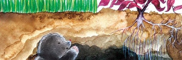 SparkyAuthor Profile Banner