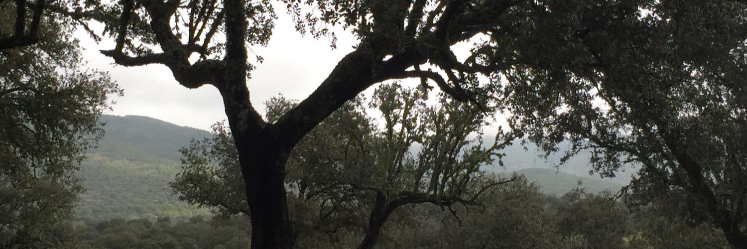 JuanMParras's profile banner image