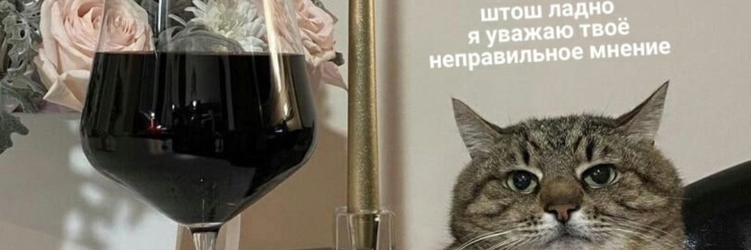 Мыслительная деятельность Юрасуса Райкова banner