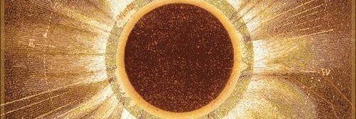 ᴀᴘᴏⅡᴏ banner