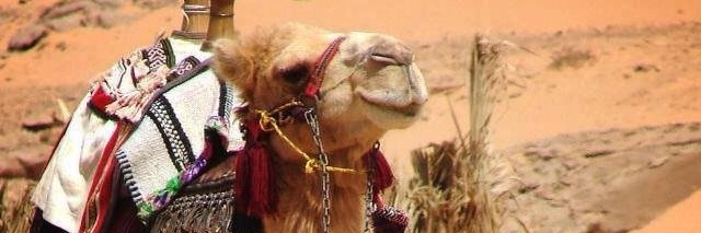 عون .🇸🇦 banner