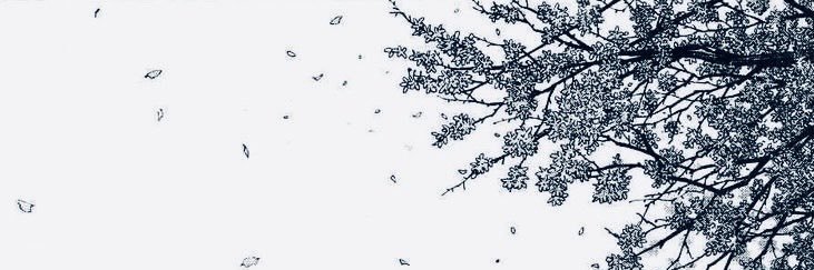 WoundedOptics's profile banner image