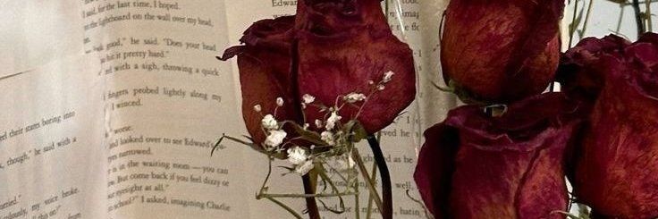 ⁷blazing heart ִ ࣪𖤐 banner