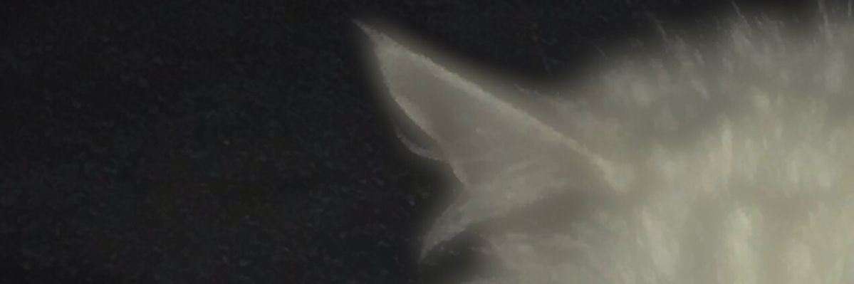 FD라라 banner