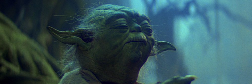 Adam Litzenberger banner