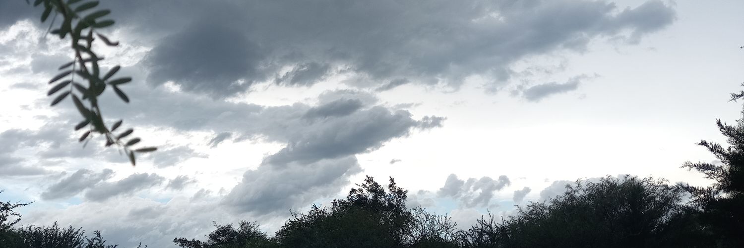 Jacqueline's🇦🇷 banner