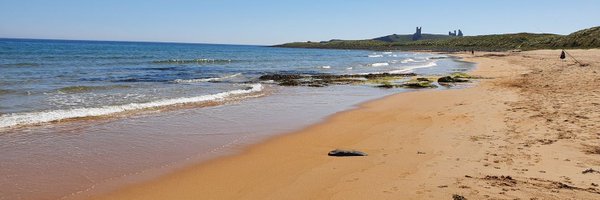 northumbrian_ Profile Banner