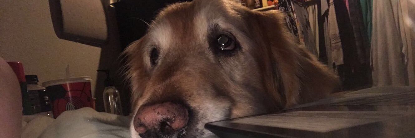 OfficialBanana's profile banner image