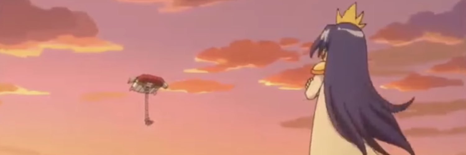 ZY banner