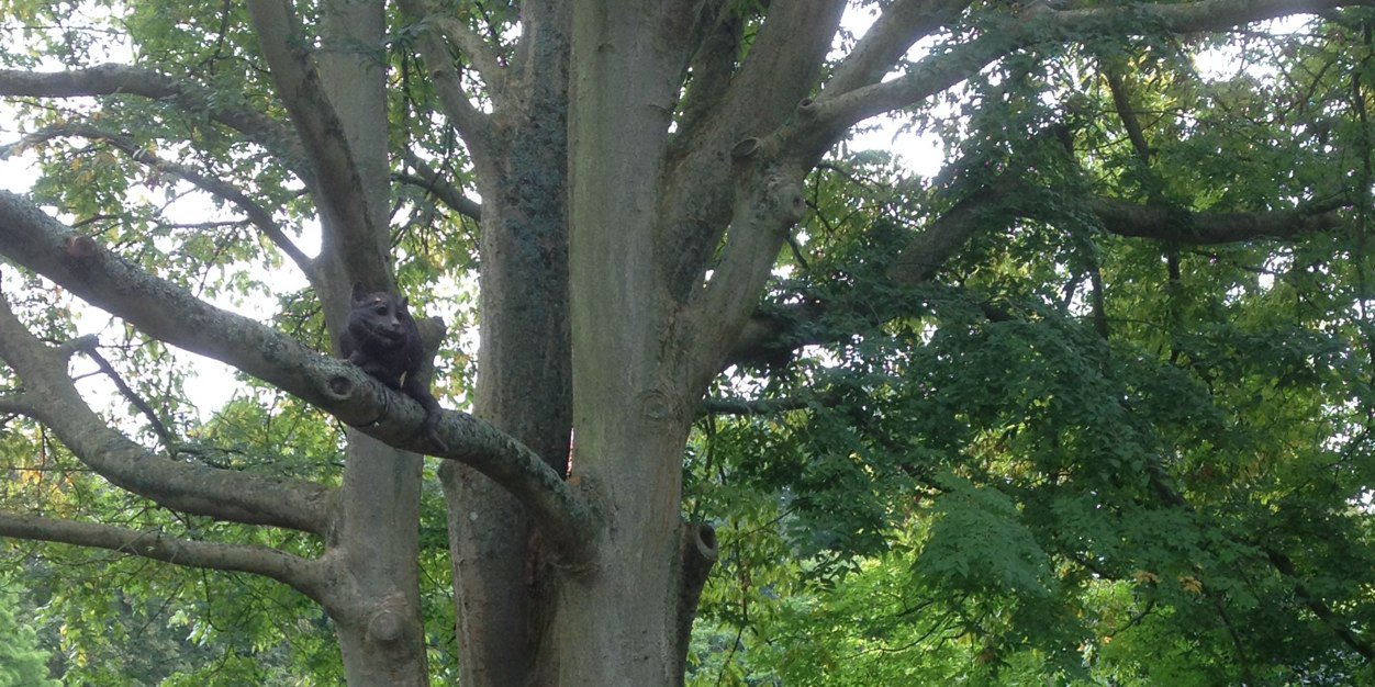 💙Rebecca 🇺🇦 ☮️ banner