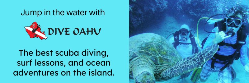 diveoahu's profile banner image