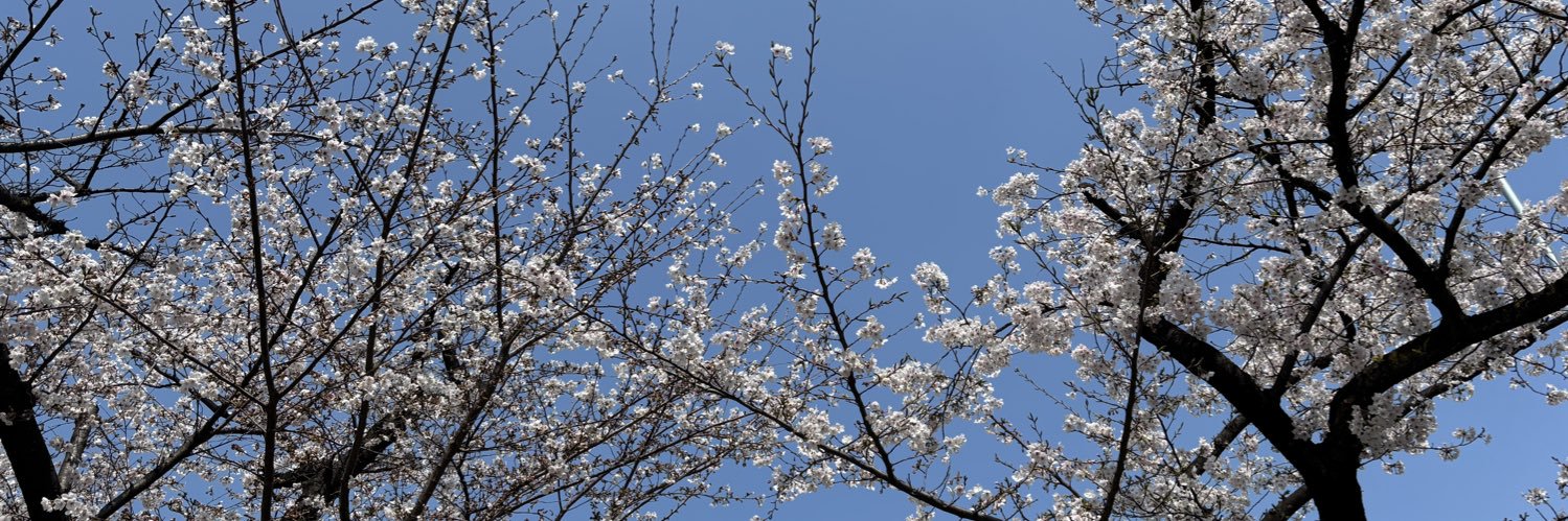 ai_584872's profile banner image