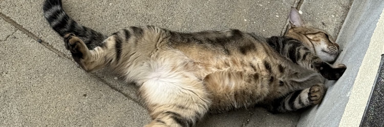rorolinatanxxx's profile banner image