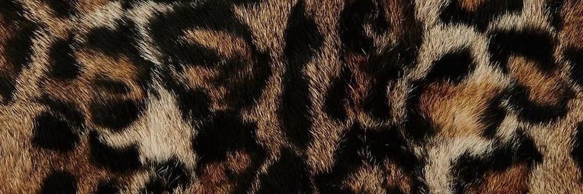ohpztal's profile banner image
