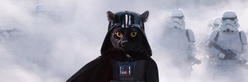 dart.cat banner
