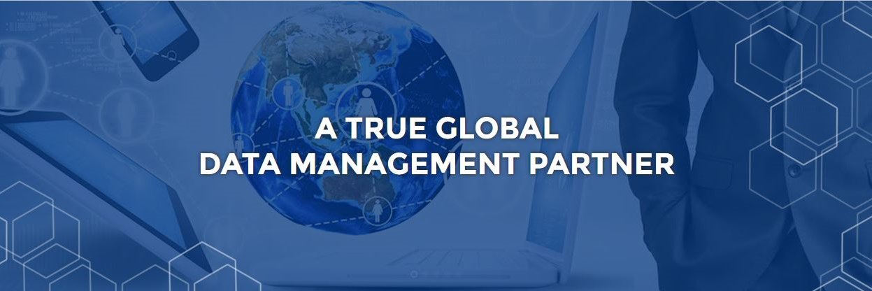 Data Services, Inc. banner