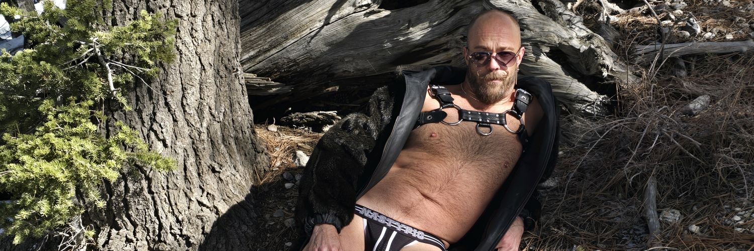 Wanderingwolf80 banner