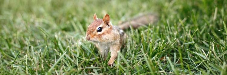 𝗘𝗔𝗧 𝗡𝗨𝗧𝗦 𝗡' 𝗞𝗜𝗖𝗞 𝗕𝗨𝗧𝗧𝗦 ! banner