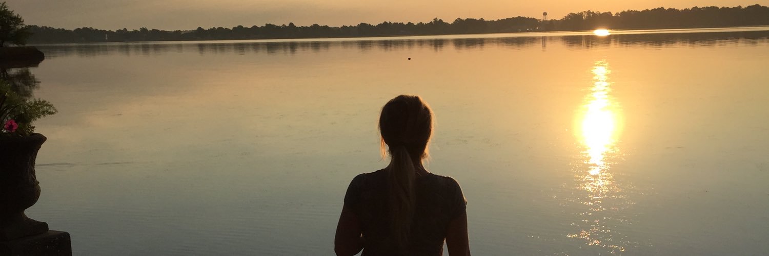TaylorShannon's profile banner image
