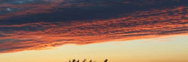 Kelly_MacD's profile banner image