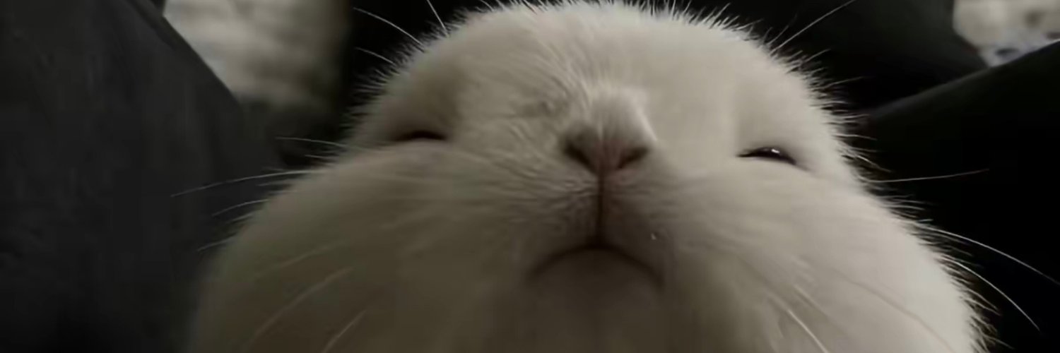 RIIIKK1209's profile banner image