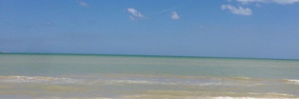 G banner