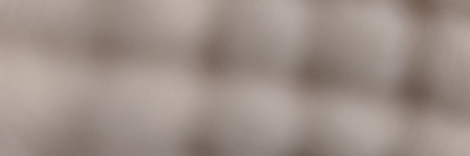 Mamal Qazvini🇩🇪🇺🇲 banner