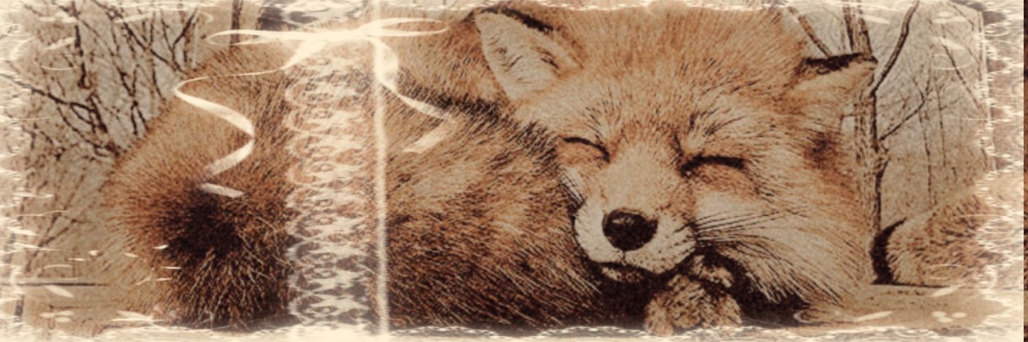 ࣪ ˖⋆˚ 𝙎𝙮𝙡𝙫𝙖𝙣 🐾˖° banner