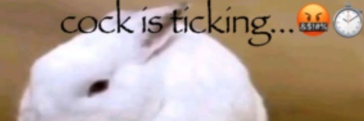 absolutebee 🏳️‍⚧️ banner