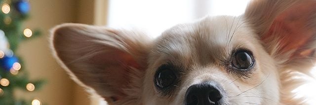 elrod88's profile banner image