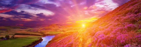Nat banner
